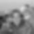 Profilbild von Ina Lange