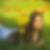 Profilbild von Jennifer Hohn