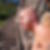 Profilbild von Uwe Sander