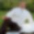 Profilbild von Marko Garlichs