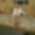 Profilbild von Anita Mertgen