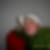 Profilbild von Katharina Gacksch