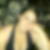 Profilbild von Nadine Gumbrich