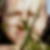Profilbild von Nicole Strauch