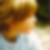 Profilbild von Ronald Squire