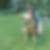 Profilbild von Anke Wiedelmann