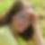 Profilbild von Heike Distler