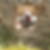 Profilbild von Franco Hanke