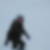 Profilbild von Dorothee Belz