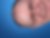Profilbild von Norbert Bayer