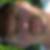 Profilbild von Christian Zeeb