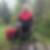 Profilbild von Cornelia Hellmeier-Stobbe