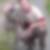 Profilbild von Harald Weranek