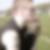 Profilbild von Michael Bundschuh