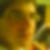 Profilbild von Daniel Beck