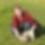 Profilbild von Monika Punjoi