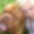 Profilbild von Susann Buskies