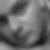 Profilbild von Daniel Wulzt