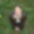 Profilbild von Yvonne Grasso