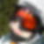 Profilbild von Artur Töws