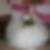 Profilbild von Jessica Gottwald