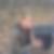 Profilbild von Sarah Spier