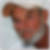 Profilbild von Stefan Seibel