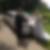 Profilbild von Joachim Stoll