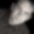 Profilbild von Matze Meister