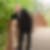 Profilbild von Gerhard Striegler