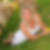 Profilbild von Nicole Liedtke