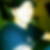 Profilbild von Christian Zelinski