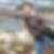 Profilbild von Susanne Ramm