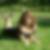 Profilbild von Yvonne Brederlow