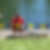 Profilbild von Steffen Kanis