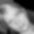 Profilbild von Nicole Behm