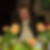 Profilbild von Andrea Schrameyer