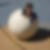 Profilbild von Vanessa Eckel