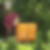Profilbild von Nils Sporn