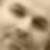 Profilbild von Stefan Bromund