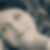 Profilbild von Silke Ryll