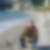 Profilbild von Ralph Esser