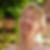 Profilbild von Karin Valentin