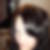 Profilbild von Bianca Christina Geck