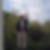 Profilbild von Frank Gierke