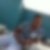 Profilbild von Niko Meier