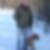 Profilbild von Ingolf Hesse