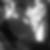 Profilbild von Vivien Renner