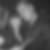 Profilbild von Roland Jung