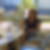 Profilbild von Claudia Dedering